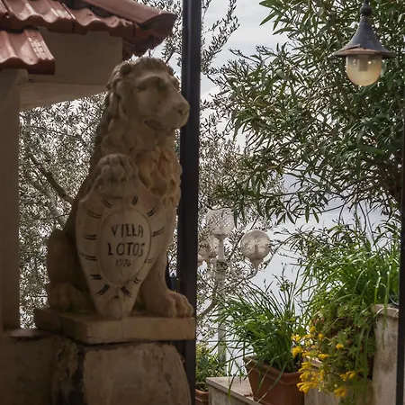 Lotos - De Vivo Realty *