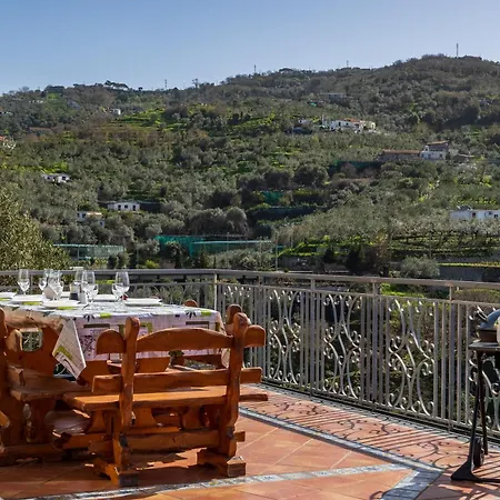 Lotos - De Vivo Realty